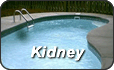 Kidney